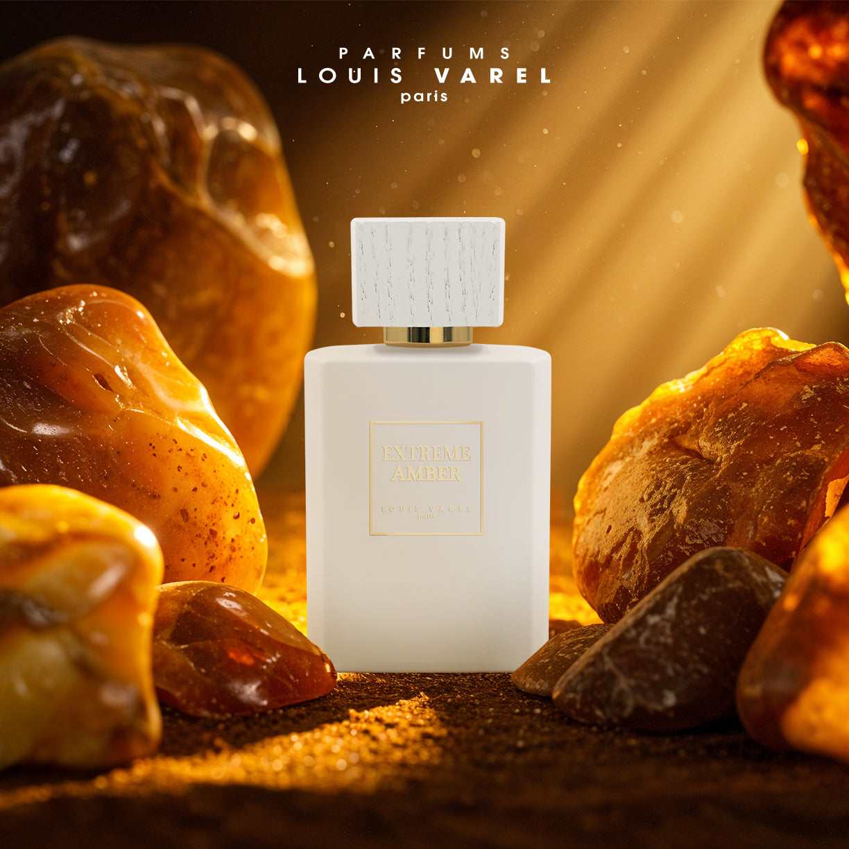 Louis Varel, Extreme Amber EDP 100ml Perfume