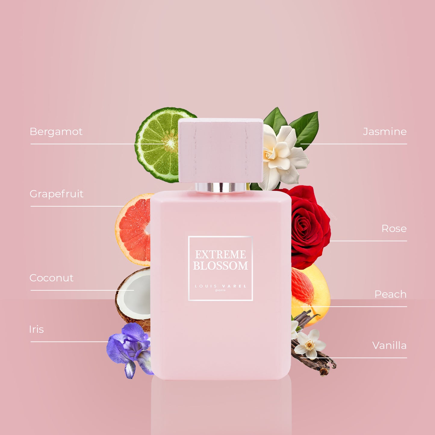 Louis Varel, Extreme Blossom EDP 100ml Perfume