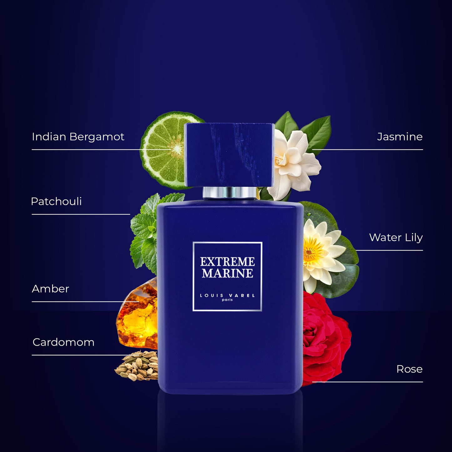 لويس فاريل، عطر إكستريم مارين أودوبارفم ١٠٠ مل
