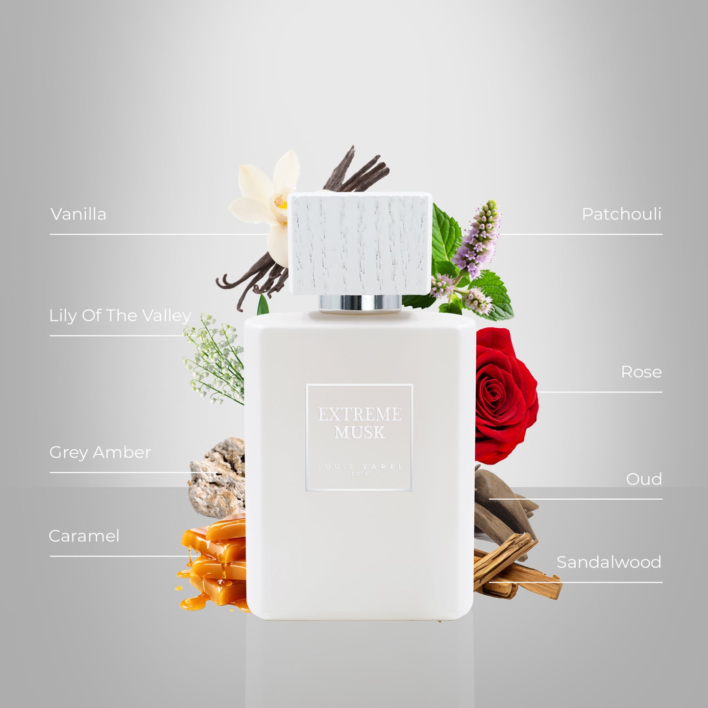 Louis Varel, Extreme Musk EDP 100ml Perfume