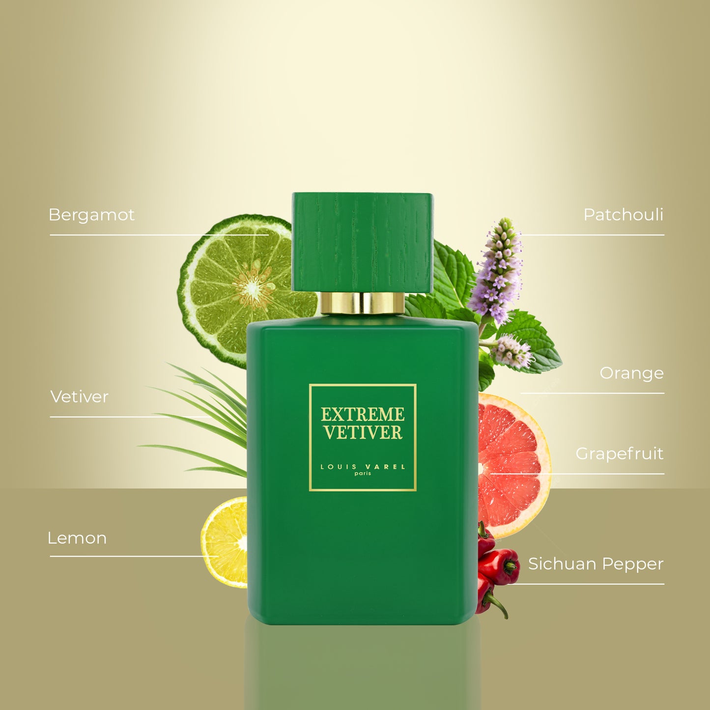 Louis Varel, Extreme Vetiver EDP 100ml Perfume