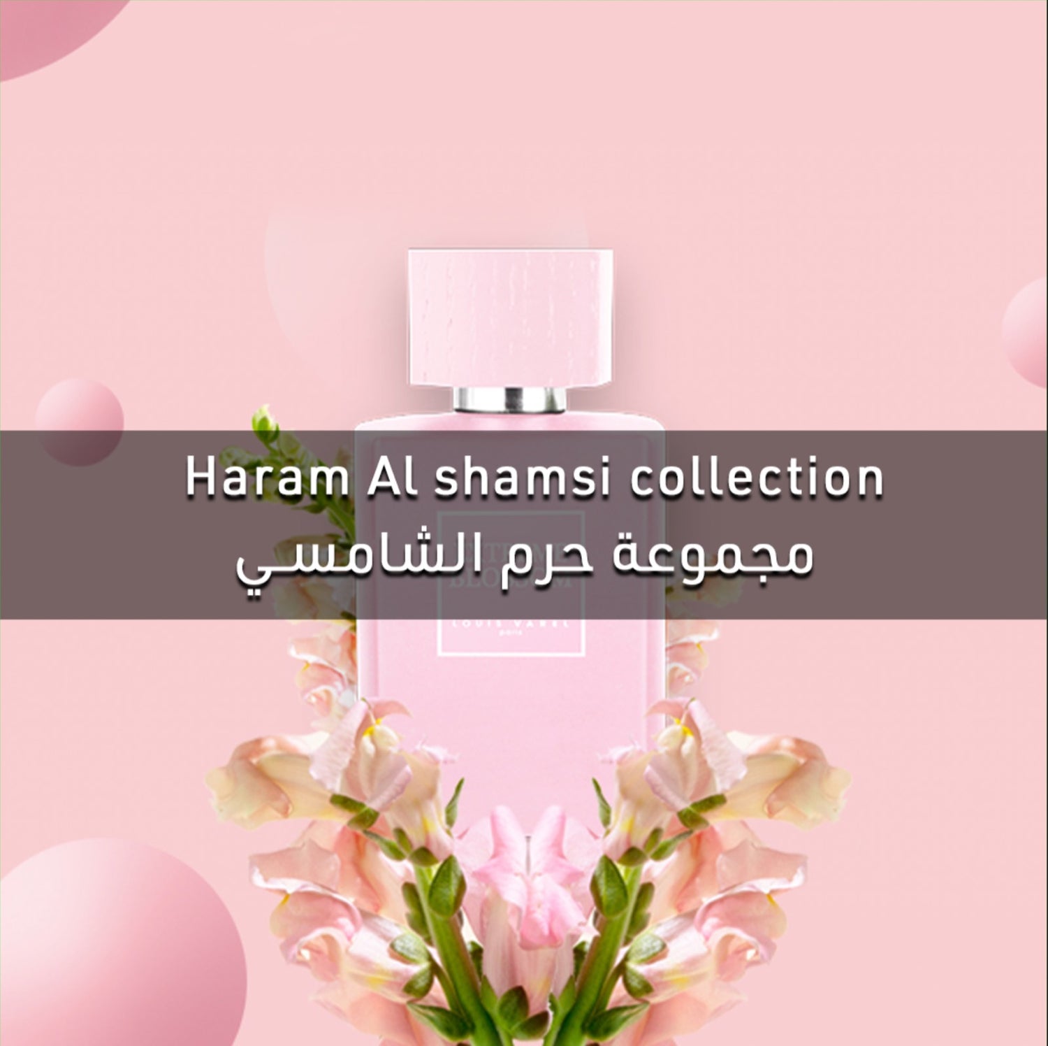 Haram Al Shamsi Collection
