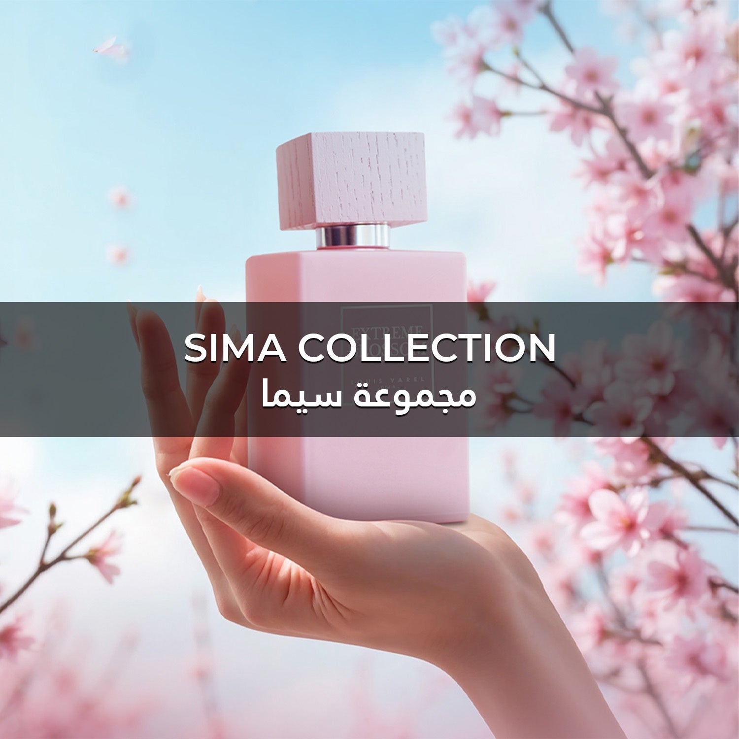 Sima Collection