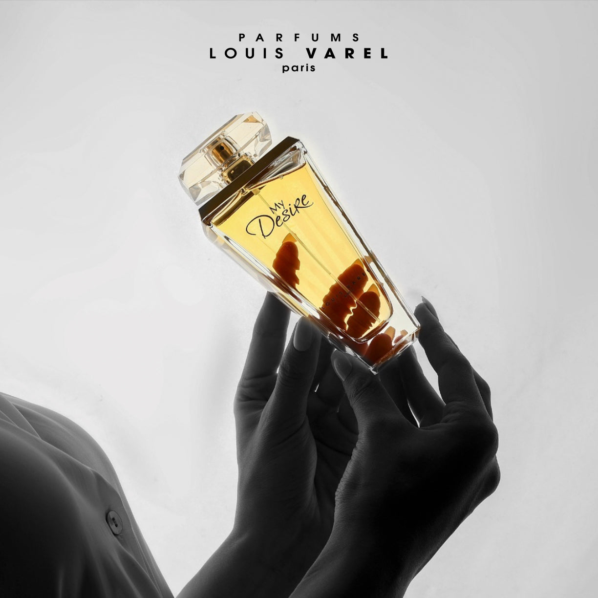 لويس فاريل، عطر ماي ديزاير أودوبارفم ١٠٠ مل