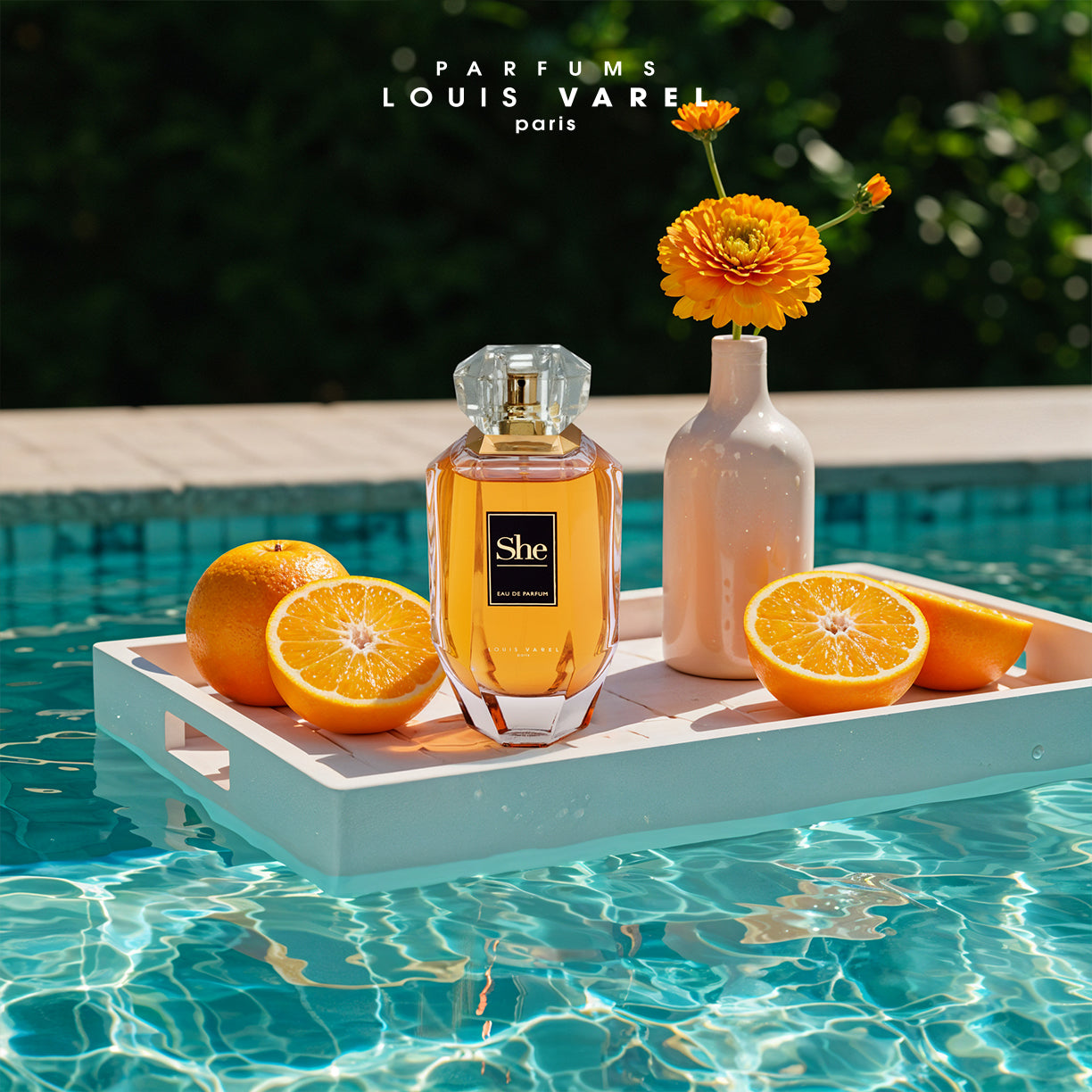 لويس فاريل، عطر شي أودوبارفم ١٠٠ مل