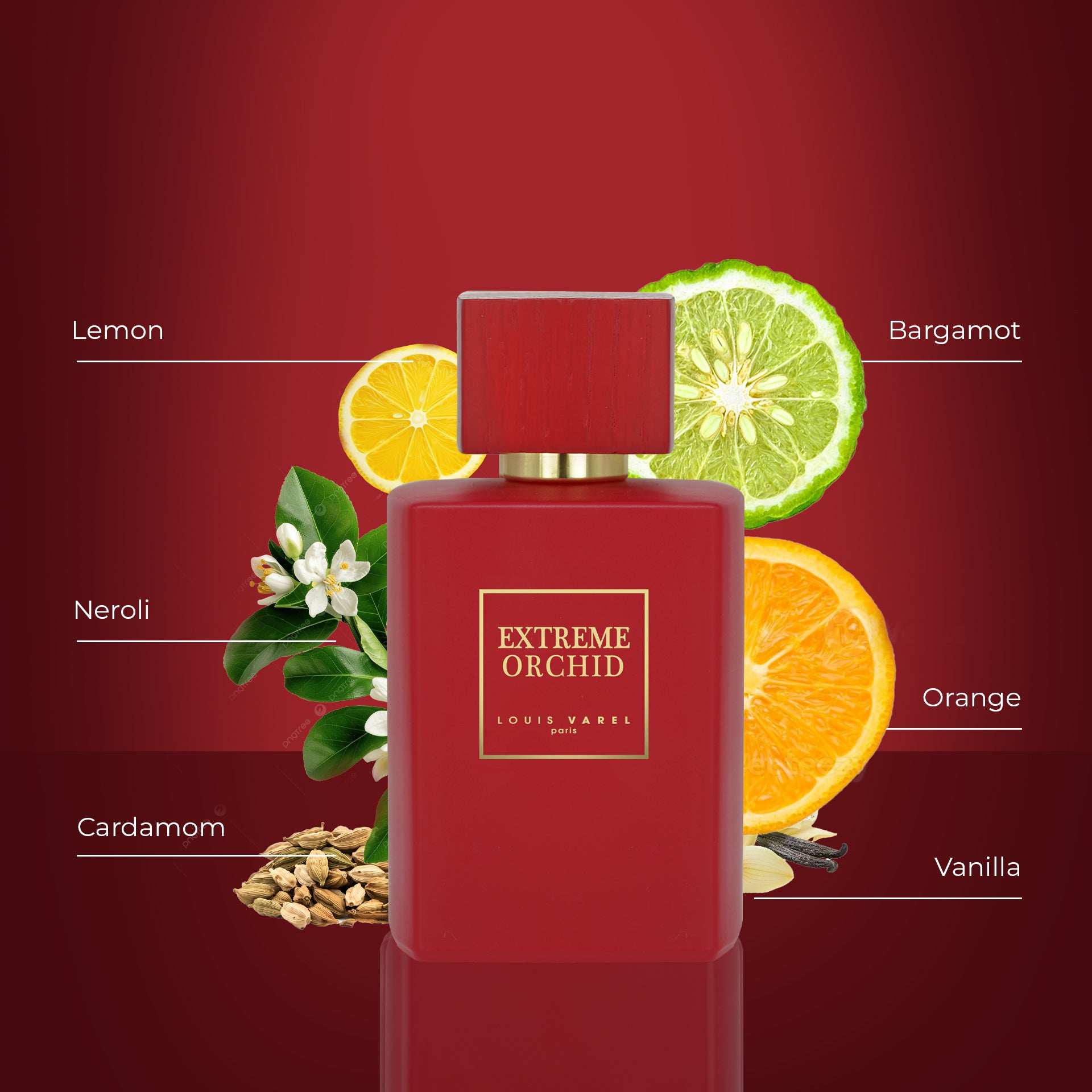 لويس فاريل، عطر إكستريم أوركيد أودوبارفم ١٠٠ مل 