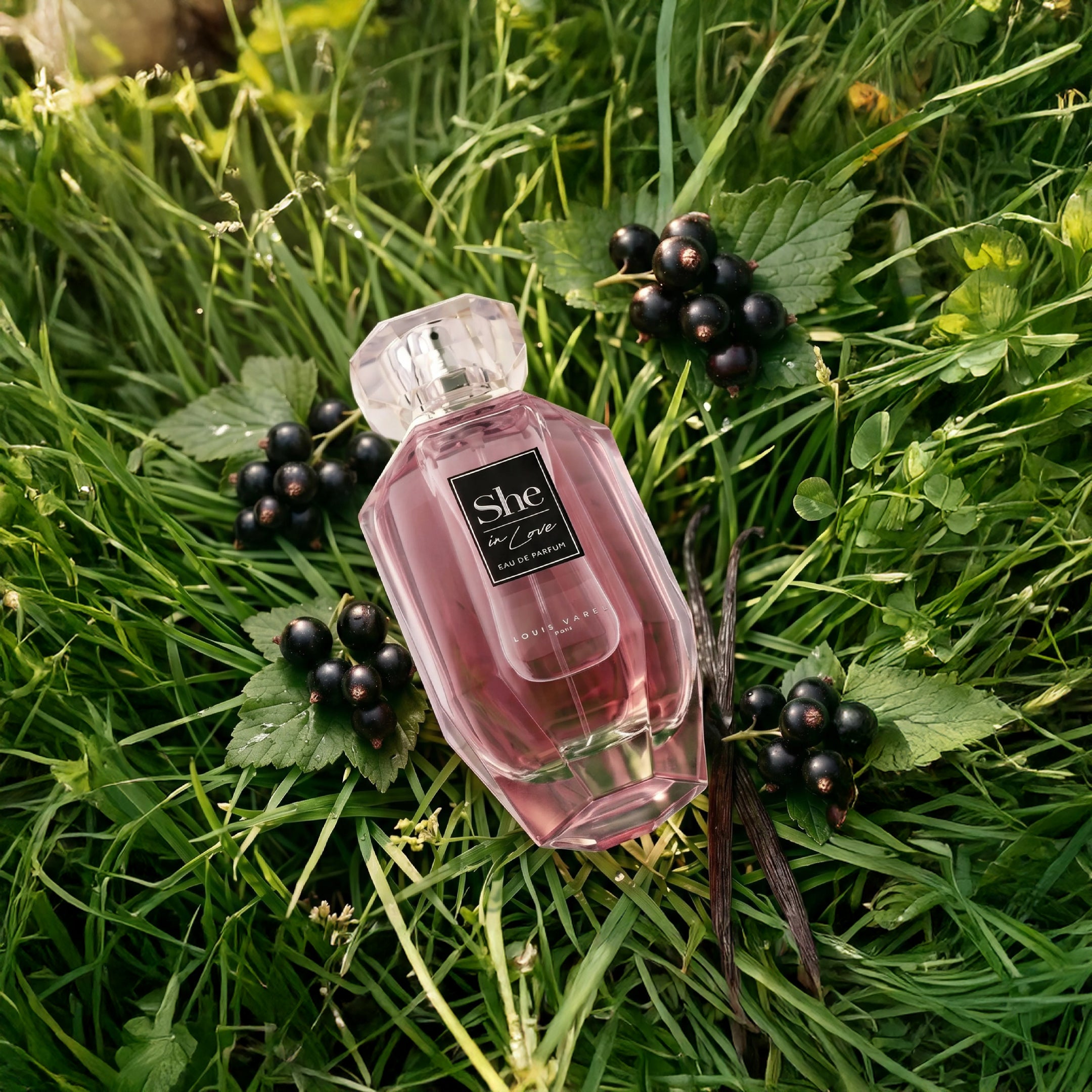 لويس فاريل, عطر شي ان لوف 100 مل